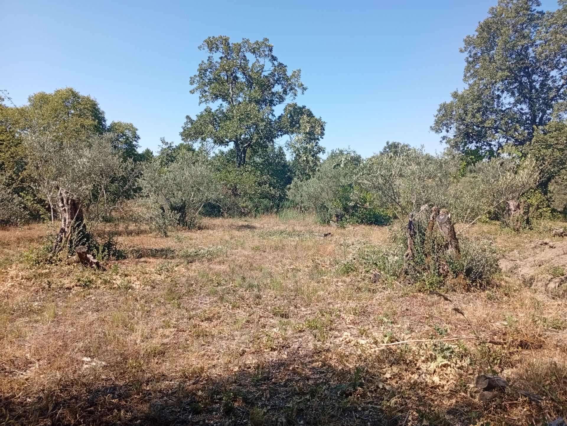 Terreno en venta en Trujillo