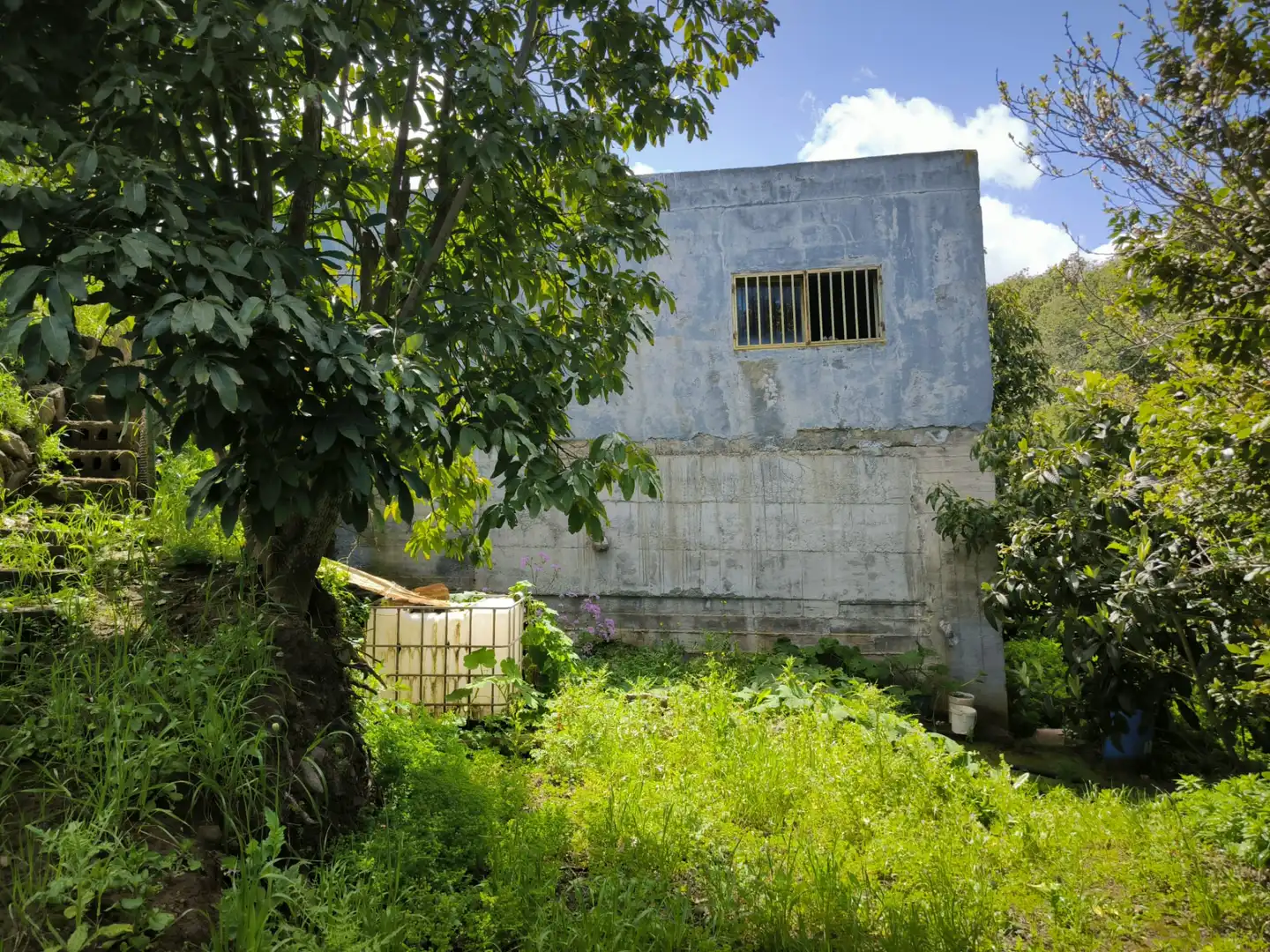 Vista exterior de Finca rústica en venta en Moya (Las Palmas)
