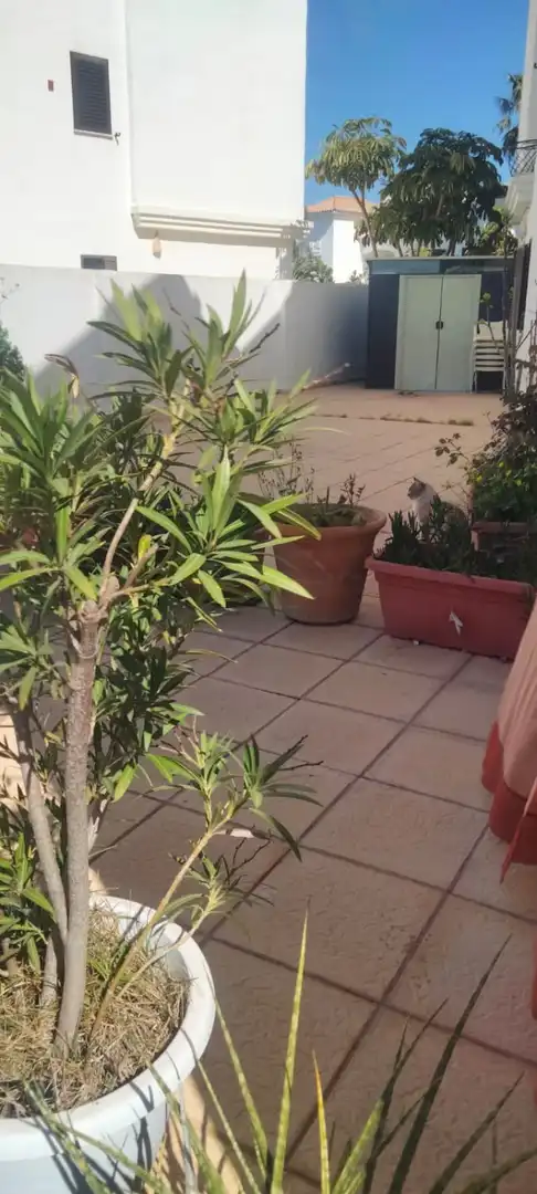 Jardí de Casa o xalet en venda en La Alcaidesa amb Terrassa i Traster