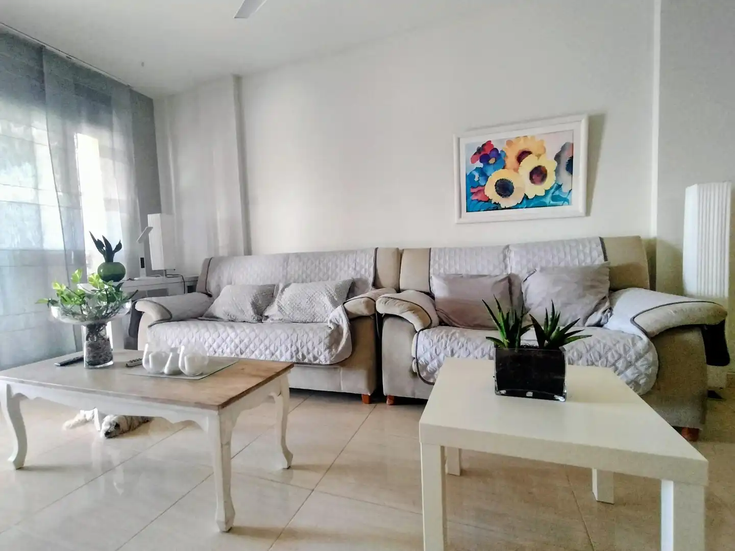 Casa a schiera con terrazza in vendita a Bonavista, imagen 9