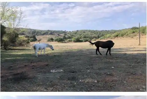Casa rústica en venda a San Martín del Tesorillo, imagen 4