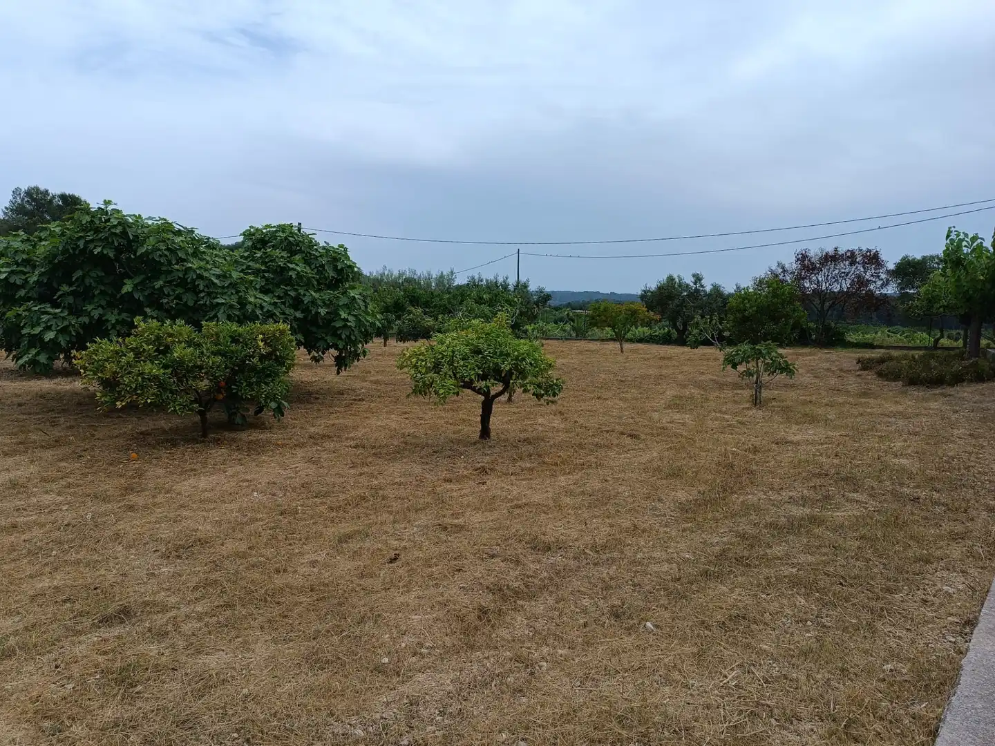 Terreno residencial en venta en Carrer Reus, imagen 9