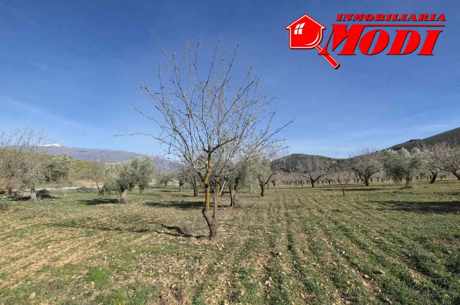 Terreni e lotti in vendita a El Valle, imagen 34
