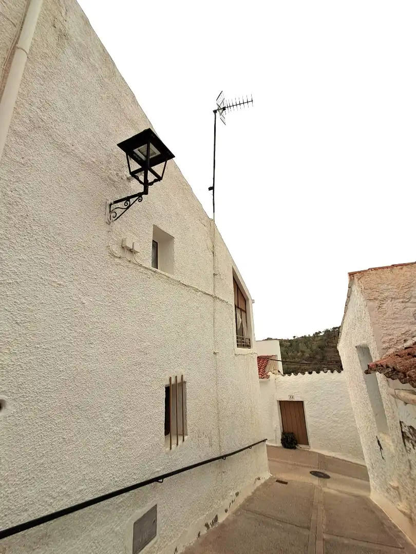 Exterior view of Houses for sale in Alcudia de Monteagud, Almería