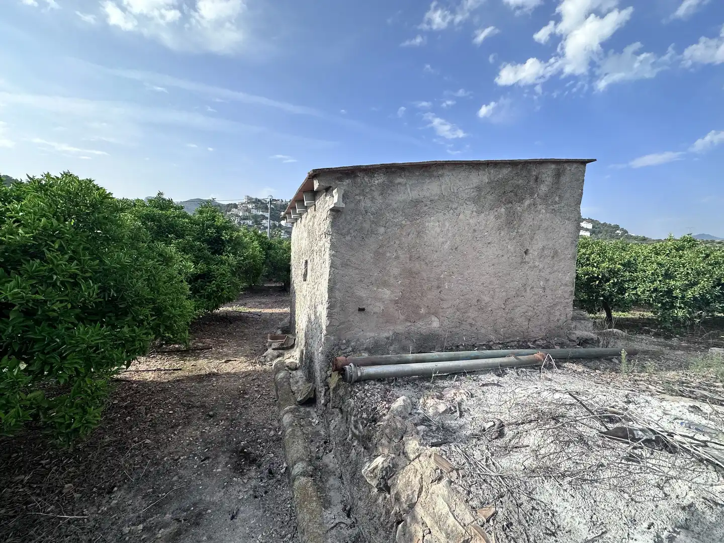 Terreno rustico in vendita a Pego, imagen 11