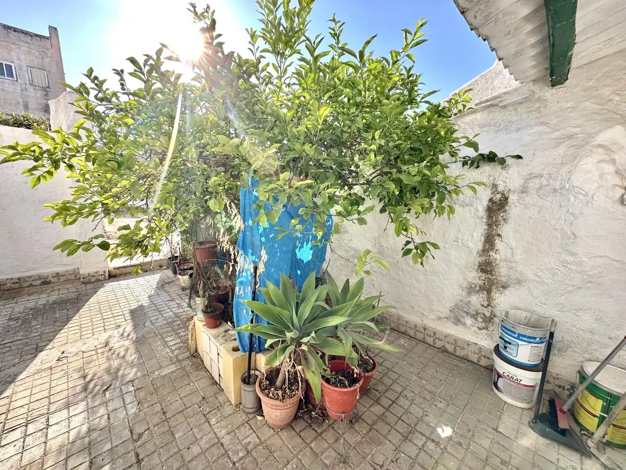 Vista exterior de Casa o xalet en venda en Sierra de Yeguas amb Jardí privat