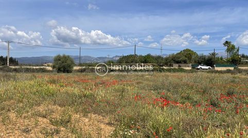 Foto 4 de Terreny en venda a Sencelles, Illes Balears