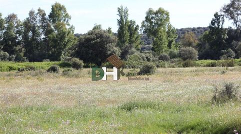 Foto 2 de Residencial en venta en Campus Universitario, Cáceres Capital