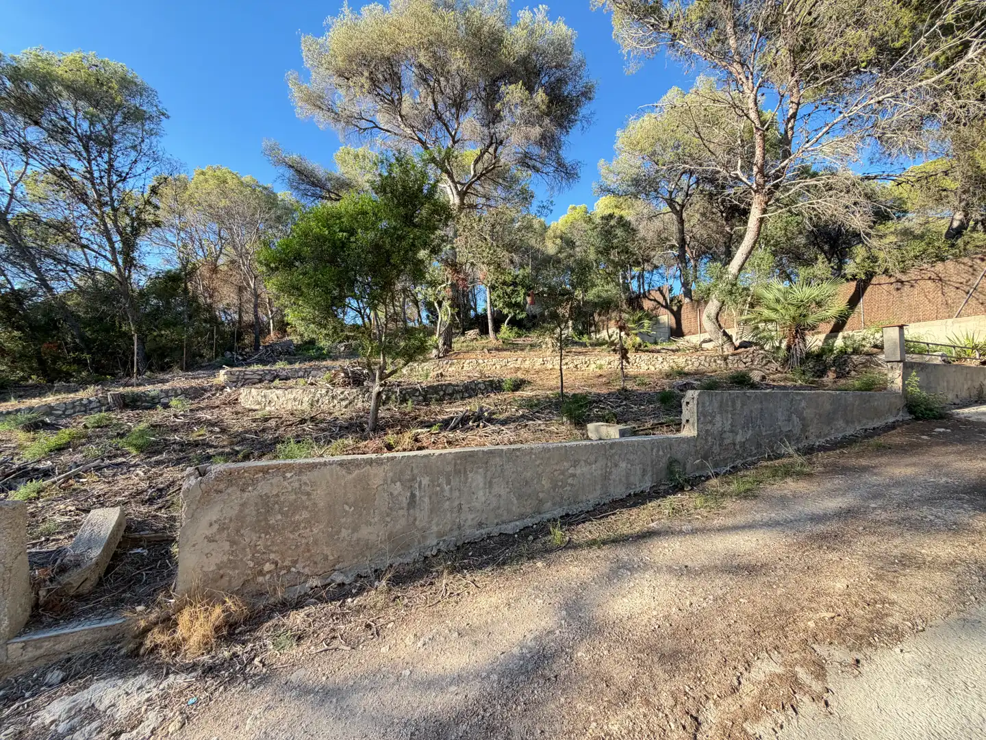 Rustikales Grundstück zum Verkauf in Carrer del Pi Torrat, imagen 7