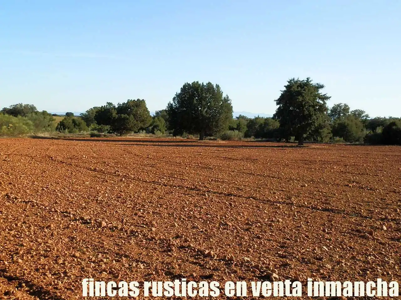 Lands and plots for sale in Ossa de Montiel, imagen 10