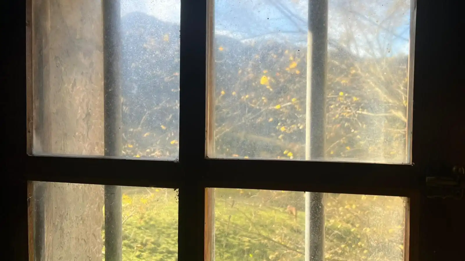Terreno rustico in vendita a Cangas de Onís, imagen 41