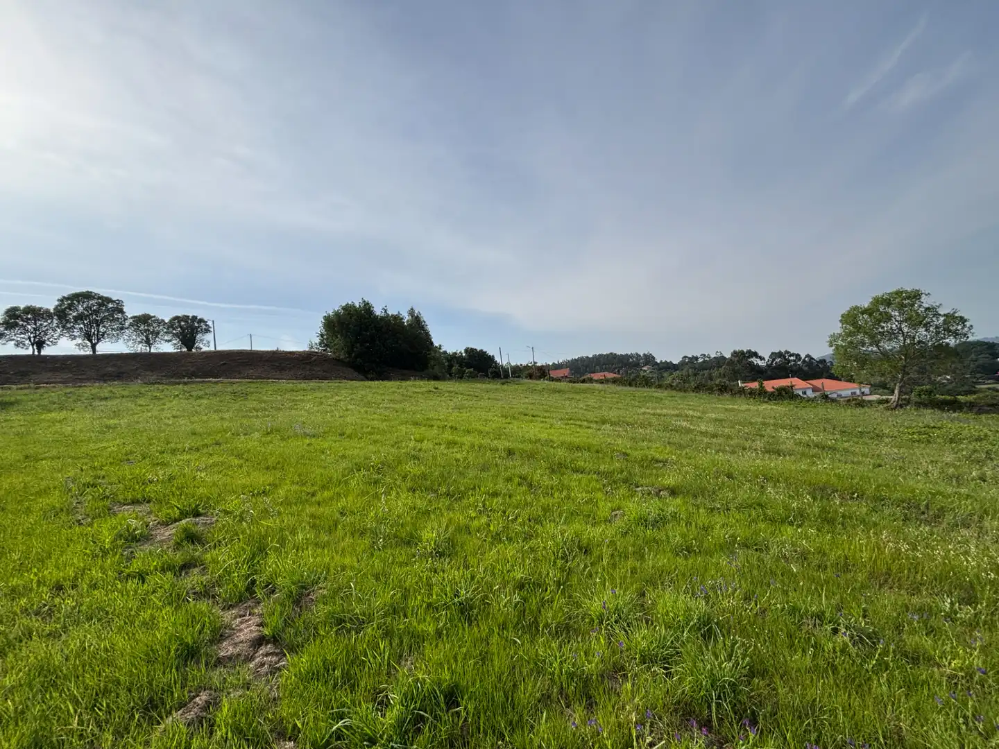 Terrains et parcelles à vendre à Lugar Torre, imagen 6