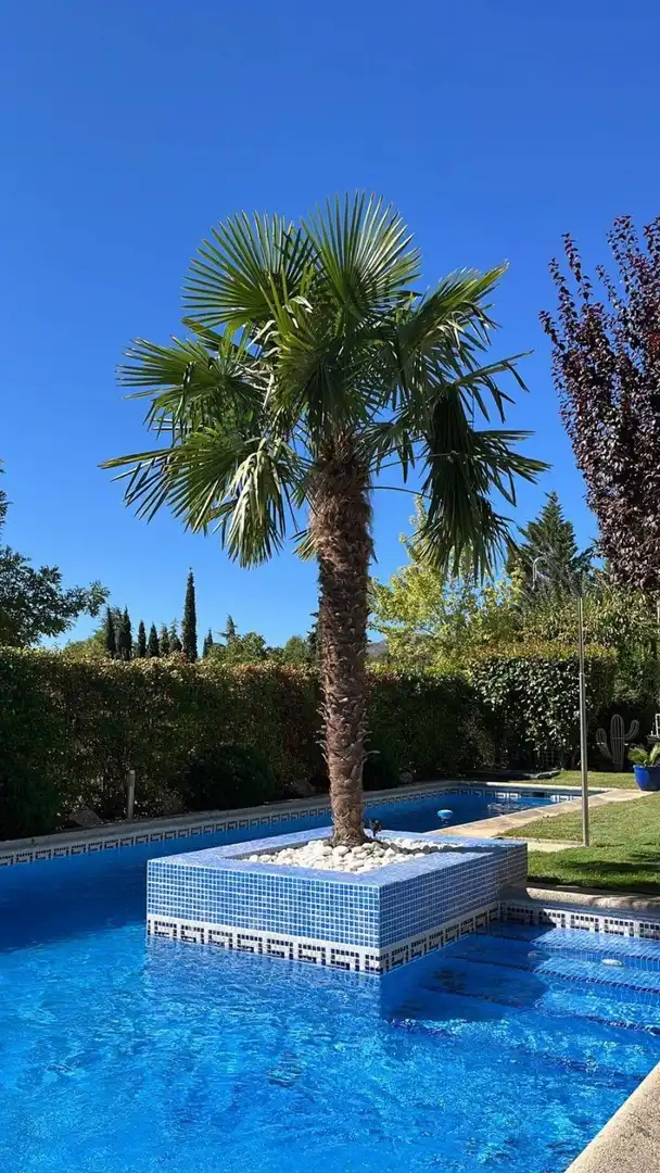 Jardí de Casa o xalet en venda en Valdemanco amb Calefacció, Terrassa i Traster