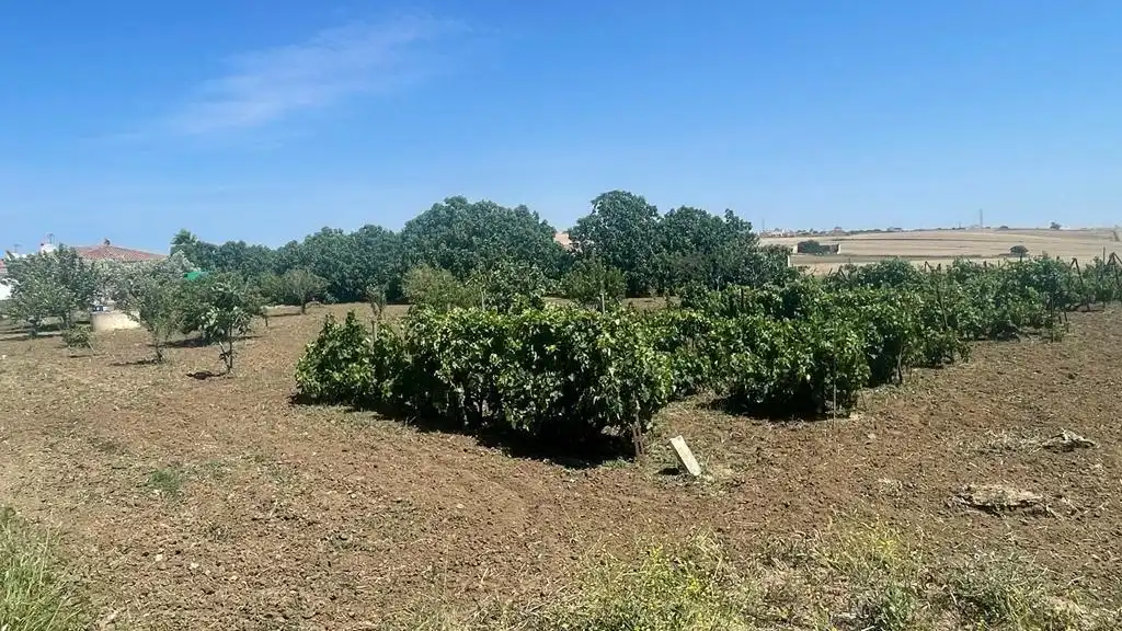 Rustikales Grundstück zum Verkauf in Las Lagunas - Campano, imagen 8