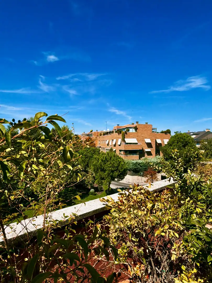 Penthouse mit Terrasse zum Verkauf in Carretera MEDIODIA, imagen 49