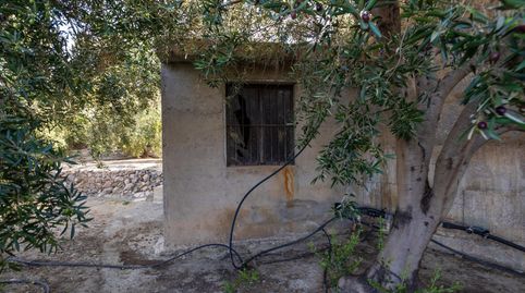 Oportunidad única! Dos Fincas rústicas de mas de 15.000 m2 en total en Pinos del Valle. VENTA JUNTAS O SEPARADAS, immagine 2