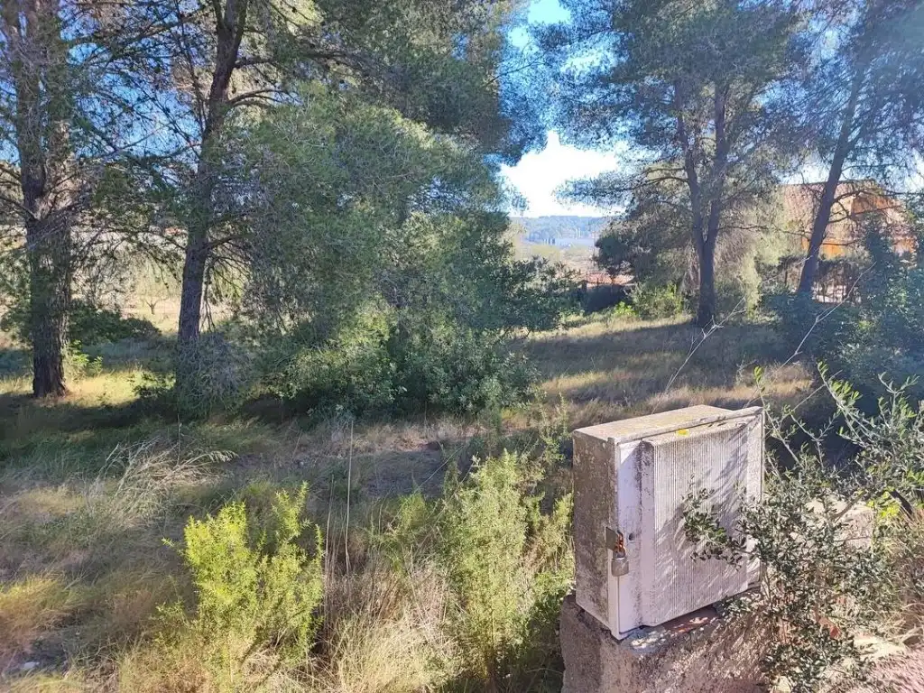 Terreno residencial en venta en Calle Ceps Dels, imagen 13