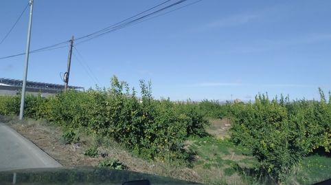 Imagen 4 del anuncio