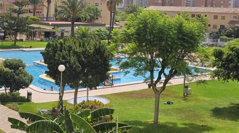 Foto 3 de Apartament en venda a Juzgados - Plaza de Toros, Benidorm