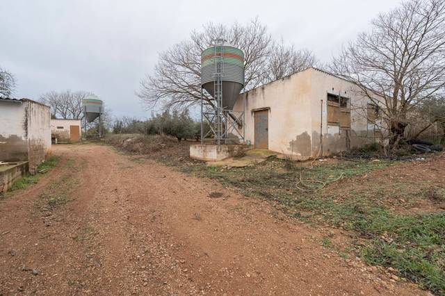 Terreno en Venta en Carrer Major, 36 en La Galera