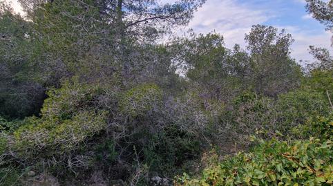 Photo 3 of Residential for sale in Carrer Gessamí, 18, Valldemar - Montmar, Tarragona