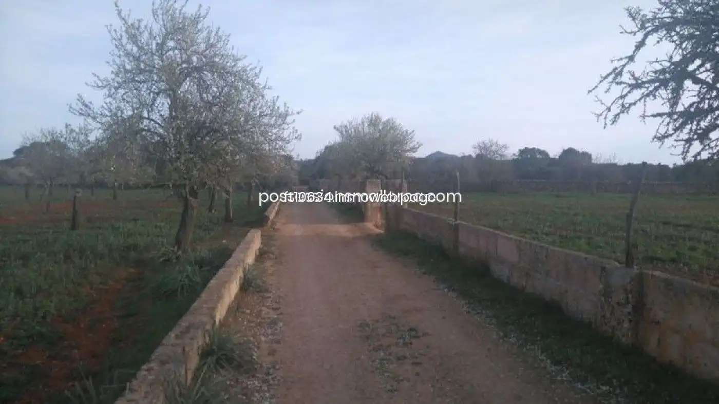 Terreno rustico in vendita a Algaida, imagen 47