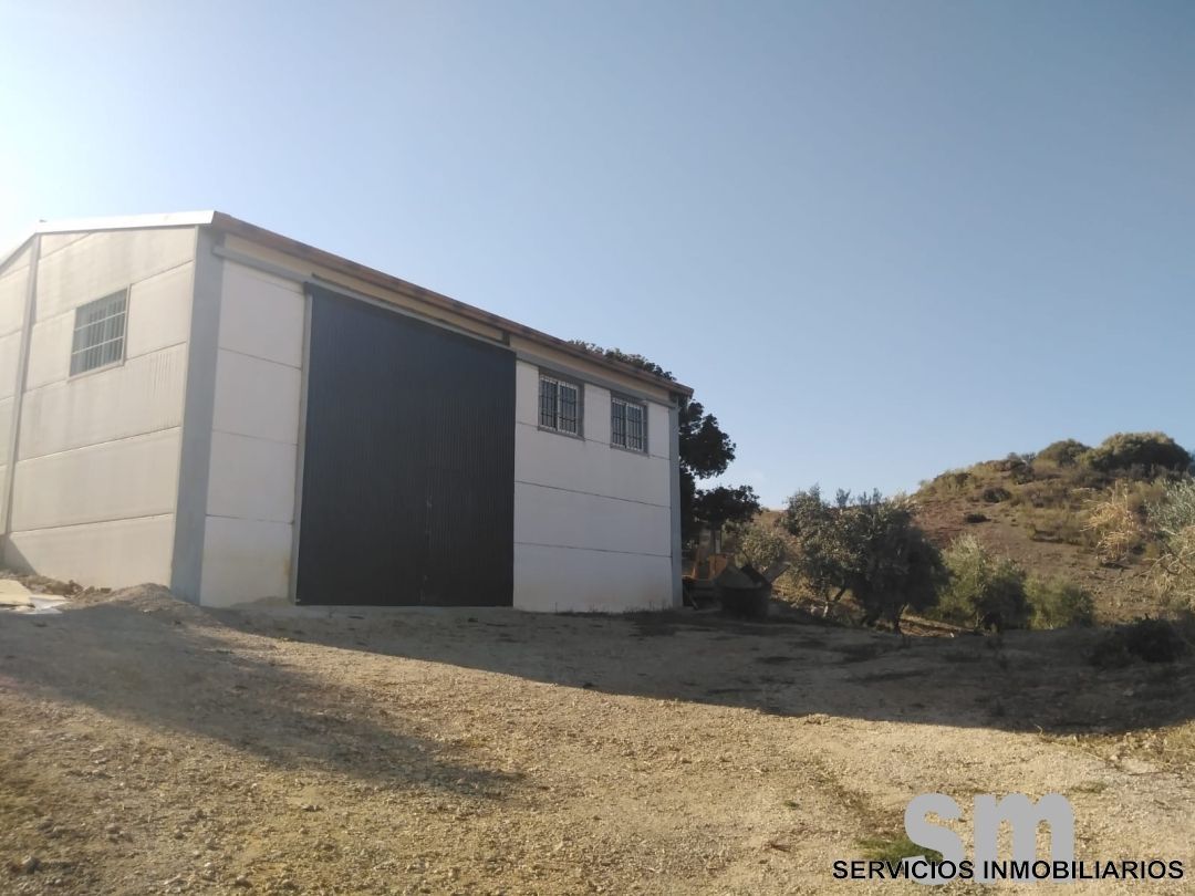 Terreno en venta en Zahara
