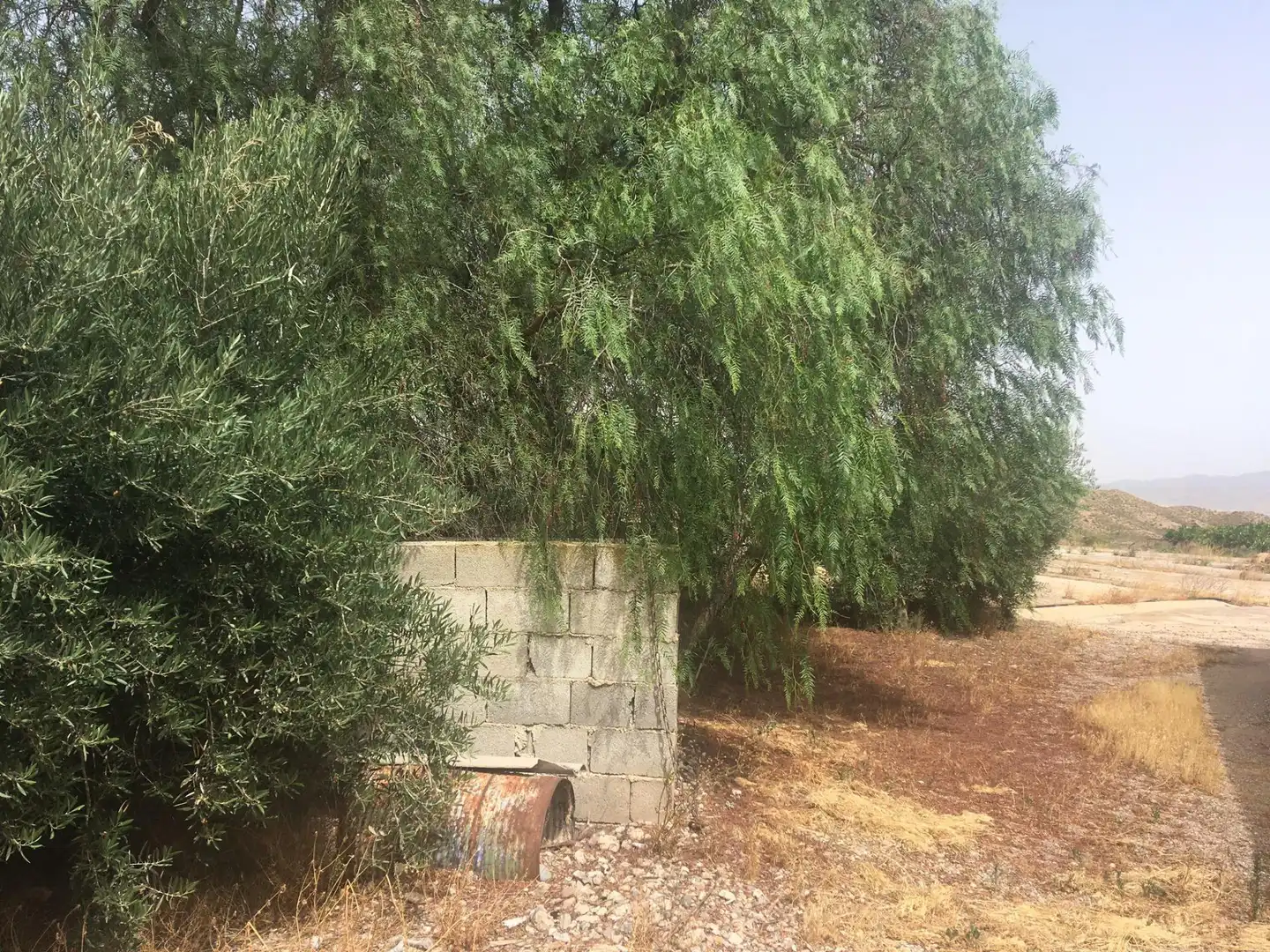 Country house zum Verkauf in Lorca mit Privatgarten und Schwimmbad