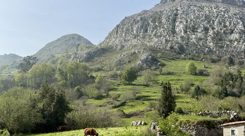 Photo 4 of Detached homes for sale in Cantolla la - Bo la Cantolla, 46, Miera, Cantabria