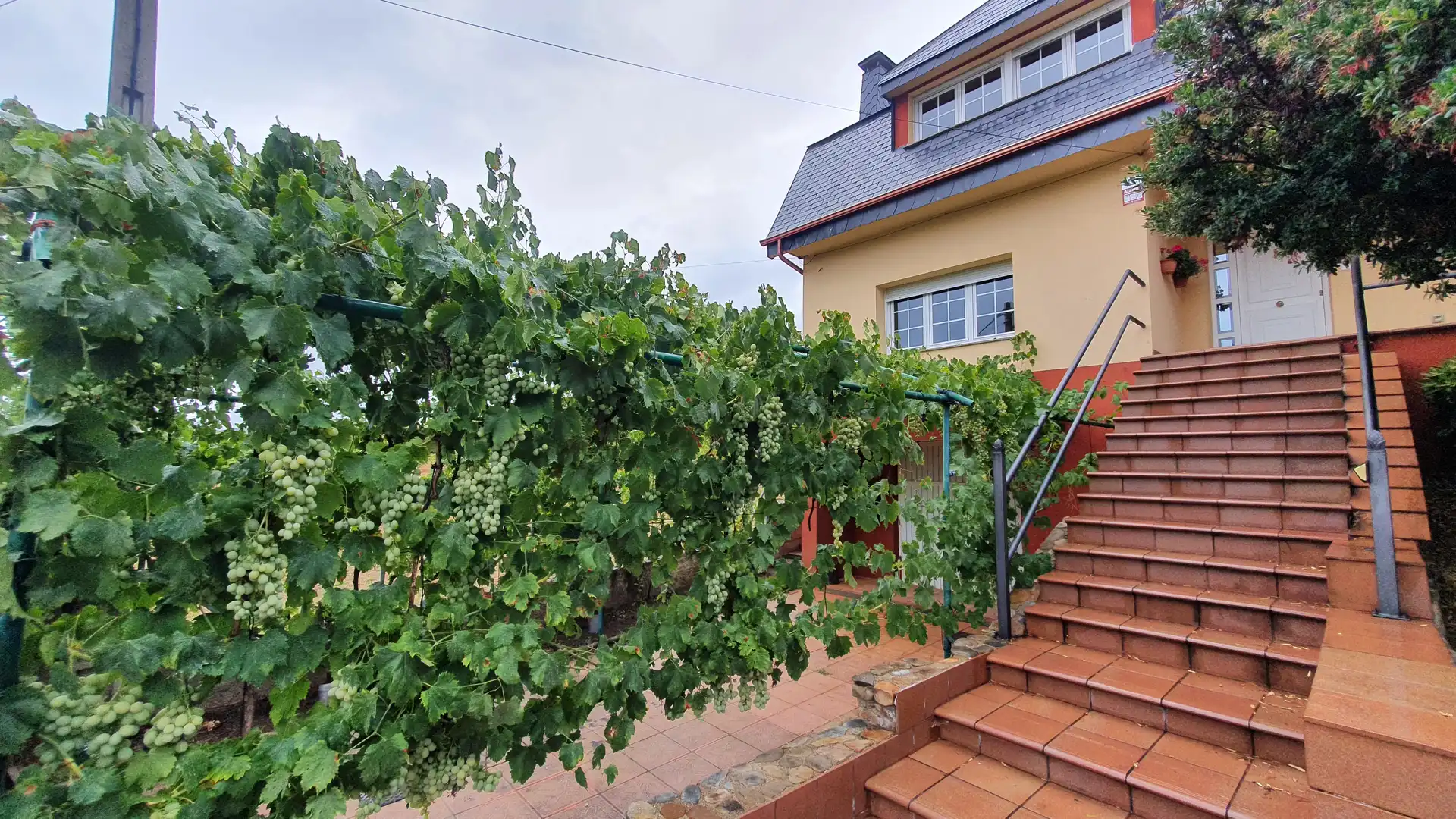Vista exterior de Casa o chalet en venta en Vega de Espinareda con Calefacción, Jardín privado y Terraza