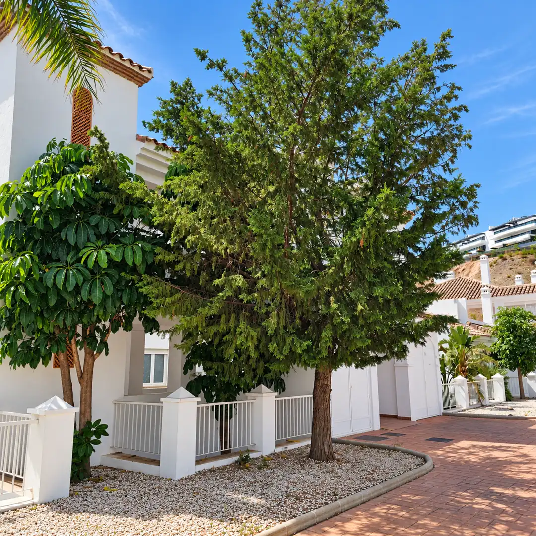 Flat with pool to rent in Diseminados, imagen 46