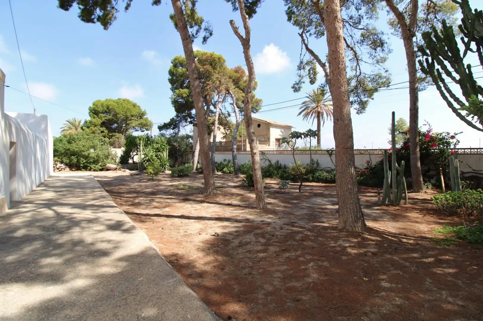 Exterior view of Houses for rent in Sant Joan d'Alacant  with Private garden, Terrace and Swimming Pool