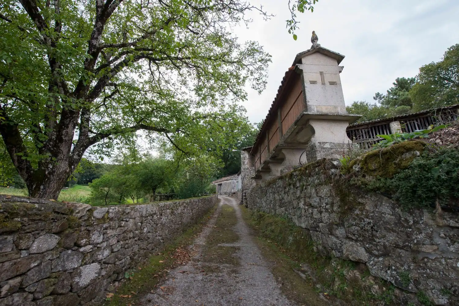 Casa rustica con giardino in vendita a Usariz 0, imagen 42
