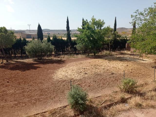Finca rústica en Venta en Almedina