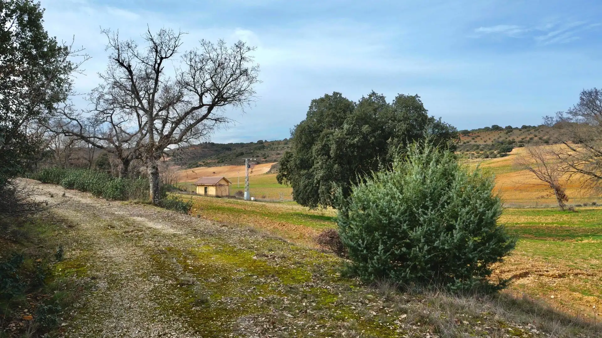 Land for sale in Arbancón