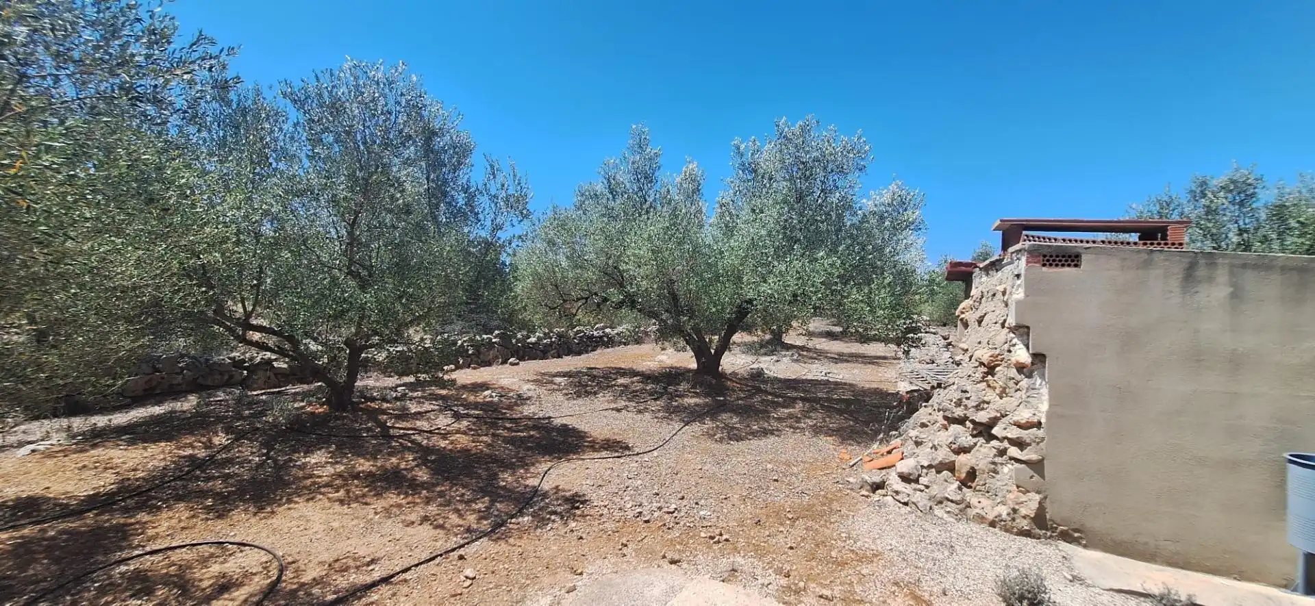 Terrain résidentiel à vendre à Chella, imagen 4
