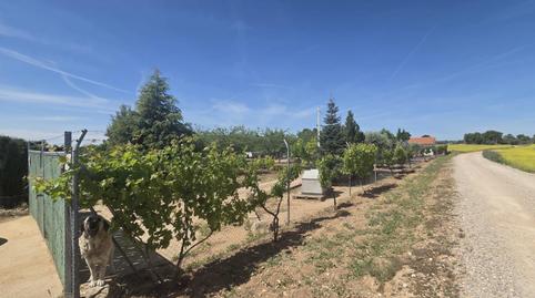 Foto 5 de Casa o xalet en venda a Los Majuelos, Santa María de Gracia, Murcia