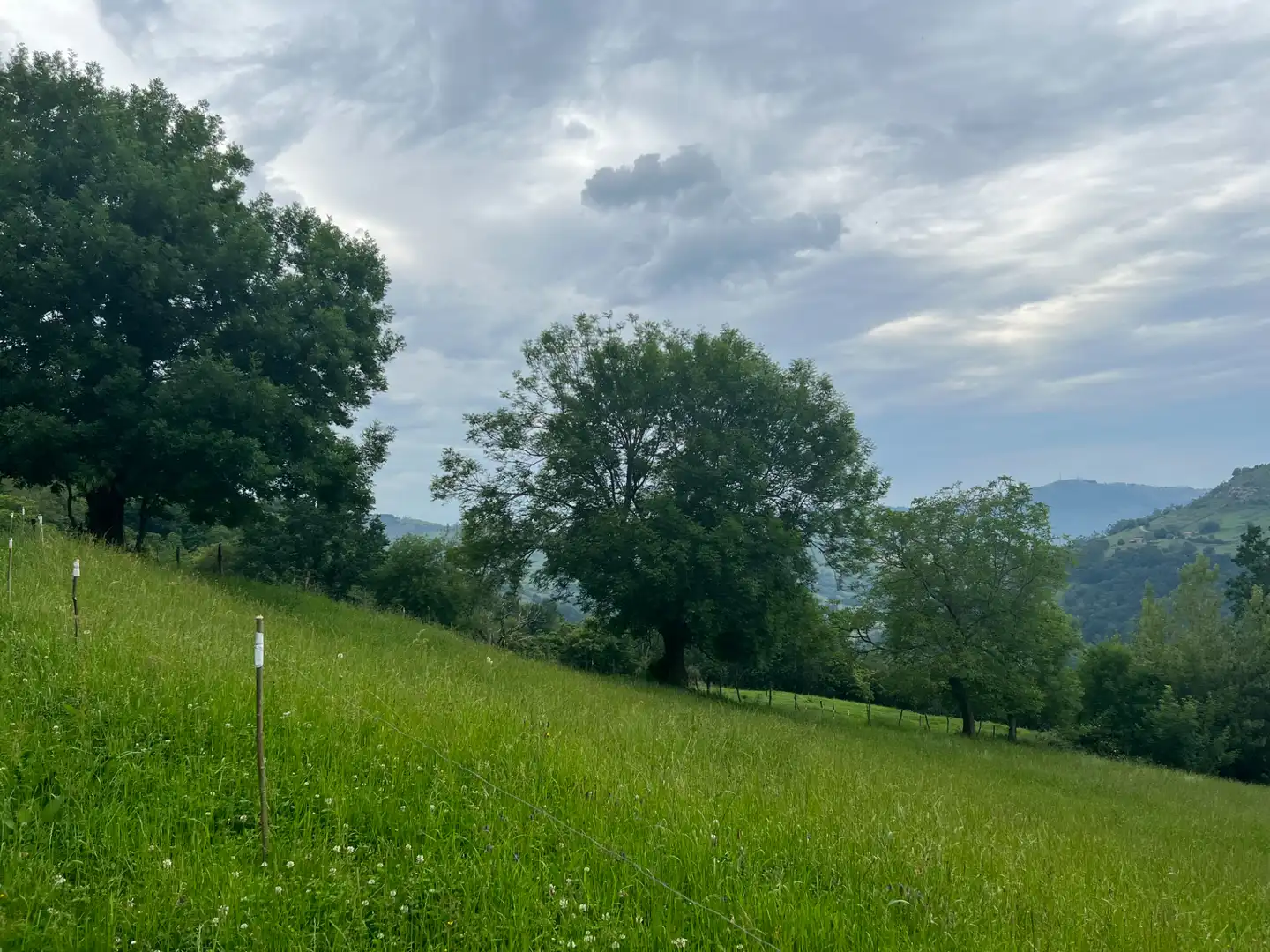Terreno rustico in vendita a Liérganes, imagen 4