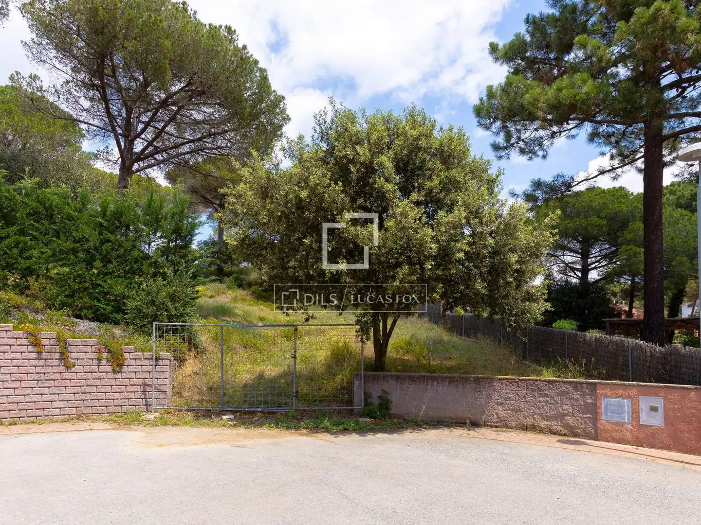 Rural land for sale in Vallromanes, imagen 14