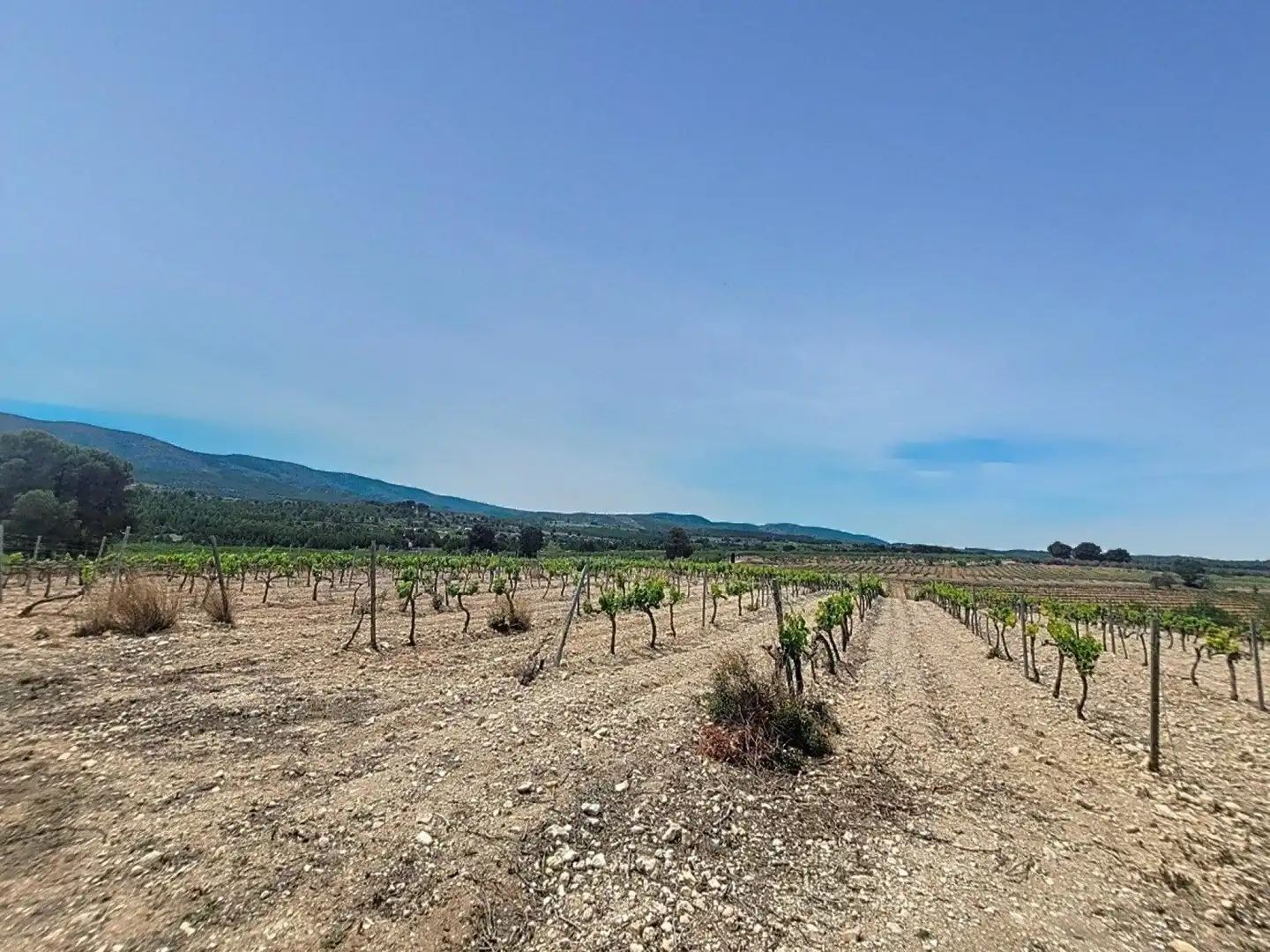 Land for sale in Ontinyent