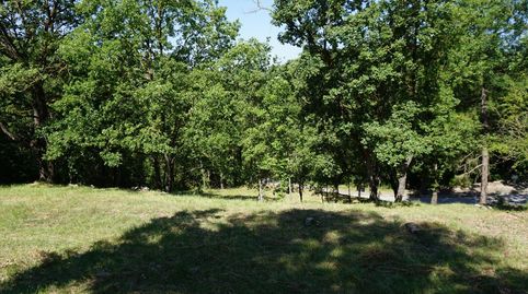 Preciosa parcela de 879 m según catastro distribuida en dos bancales, immagine 5