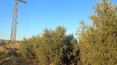 Foto 5 de Residencial en venda a Parrilla, Lorca