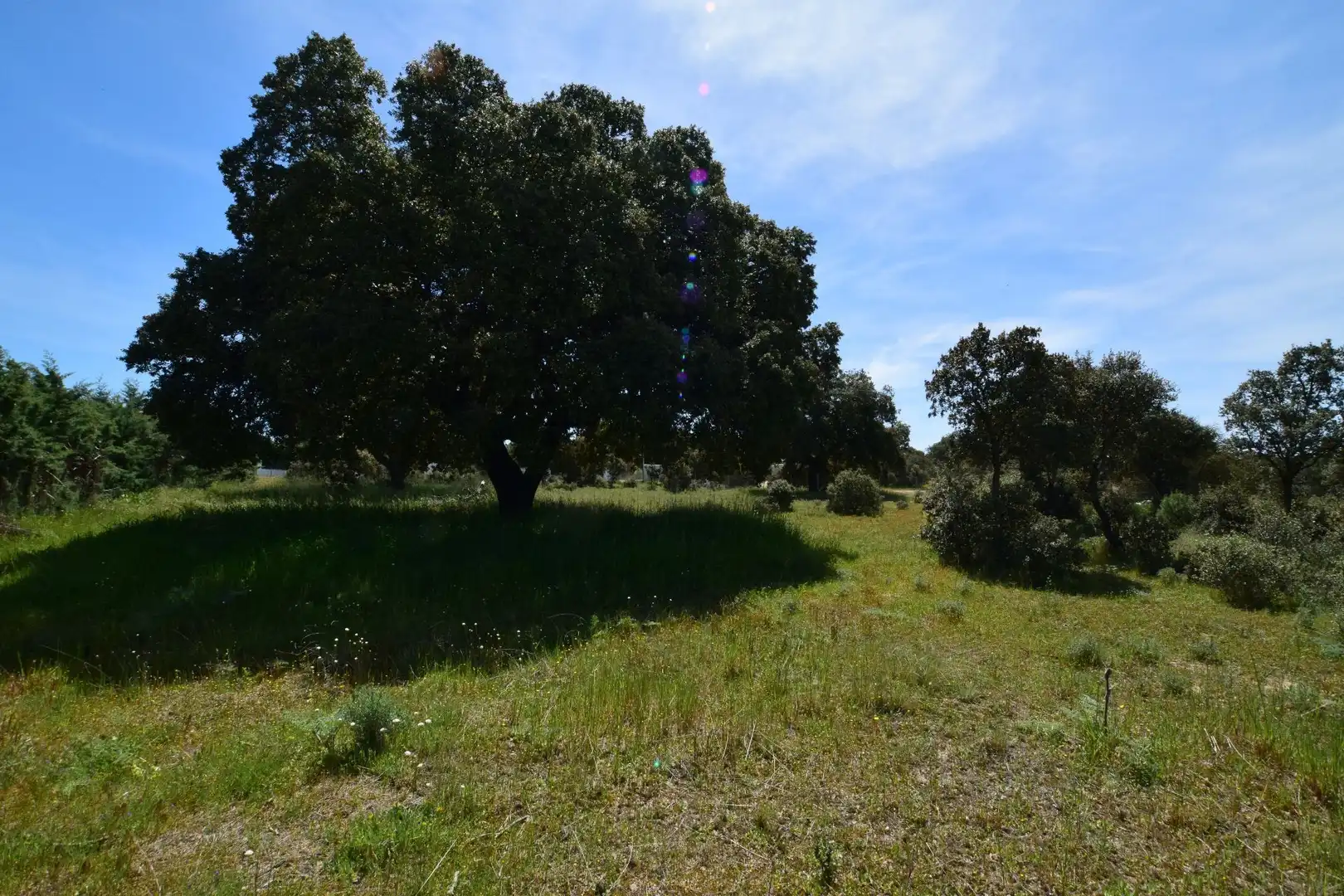Residential for sale in DEL FERROCARRIL, Maello