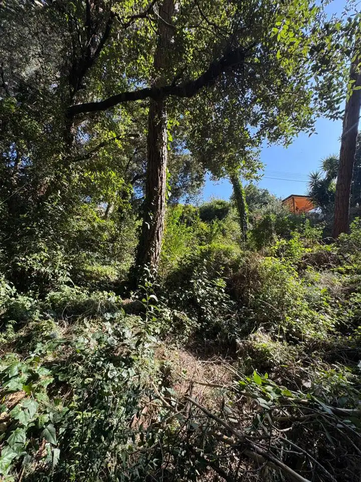 Grundstücke und Bauplätze zum Verkauf in De Lluis Millet, imagen 31