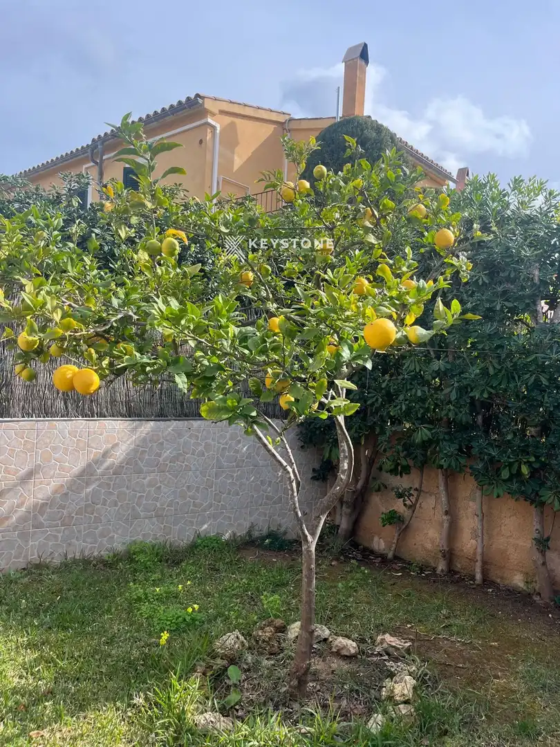Garten von Haus oder Chalet zum Verkauf in Marratxí mit Terrasse und Schwimmbad