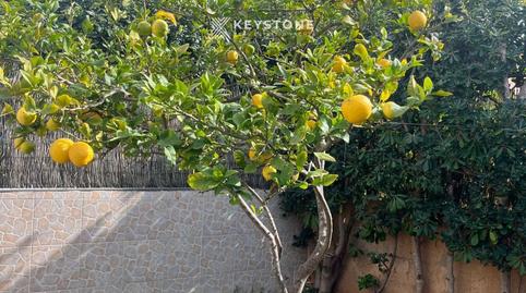 Foto 4 de Casa o xalet en venda a Calle Son Caulelles, Sa Cabaneta, Marratxí