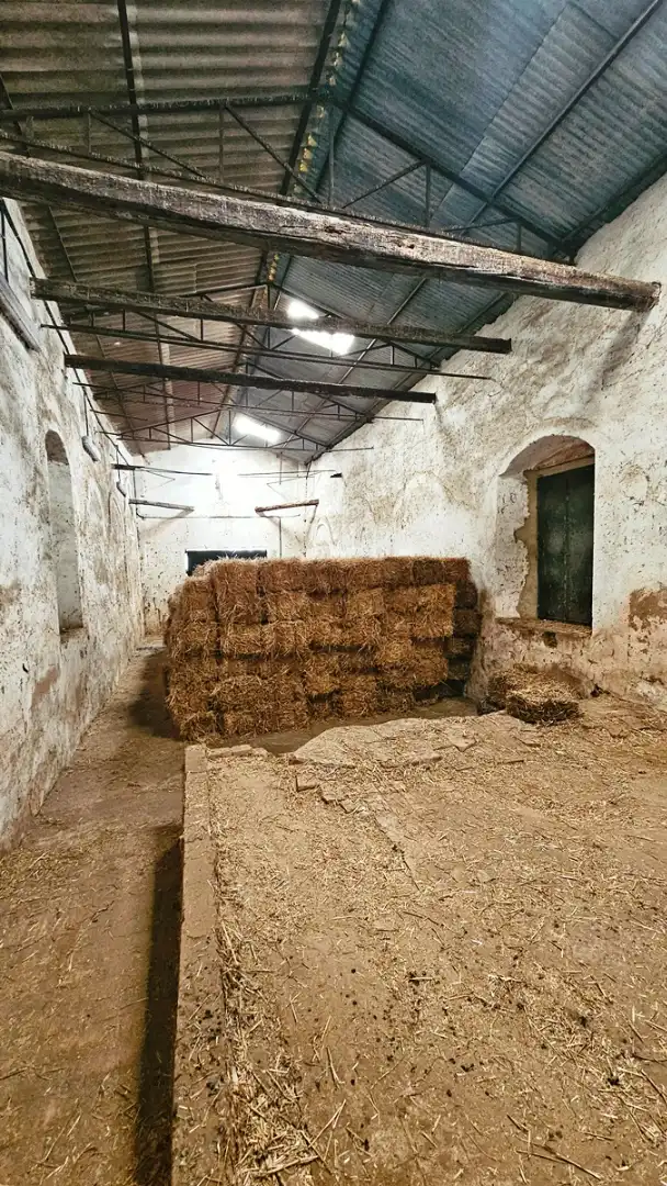 Terreni e lotti in vendita a La Hispanidad - Verdeluz, imagen 25