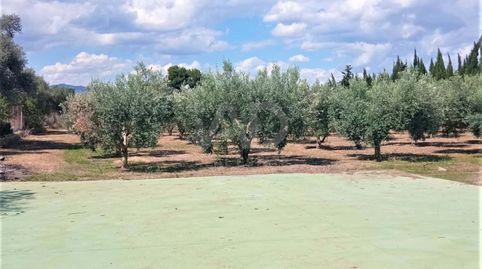 Foto 4 de Casa o chalet en venta en Móra d'Ebre, Tarragona