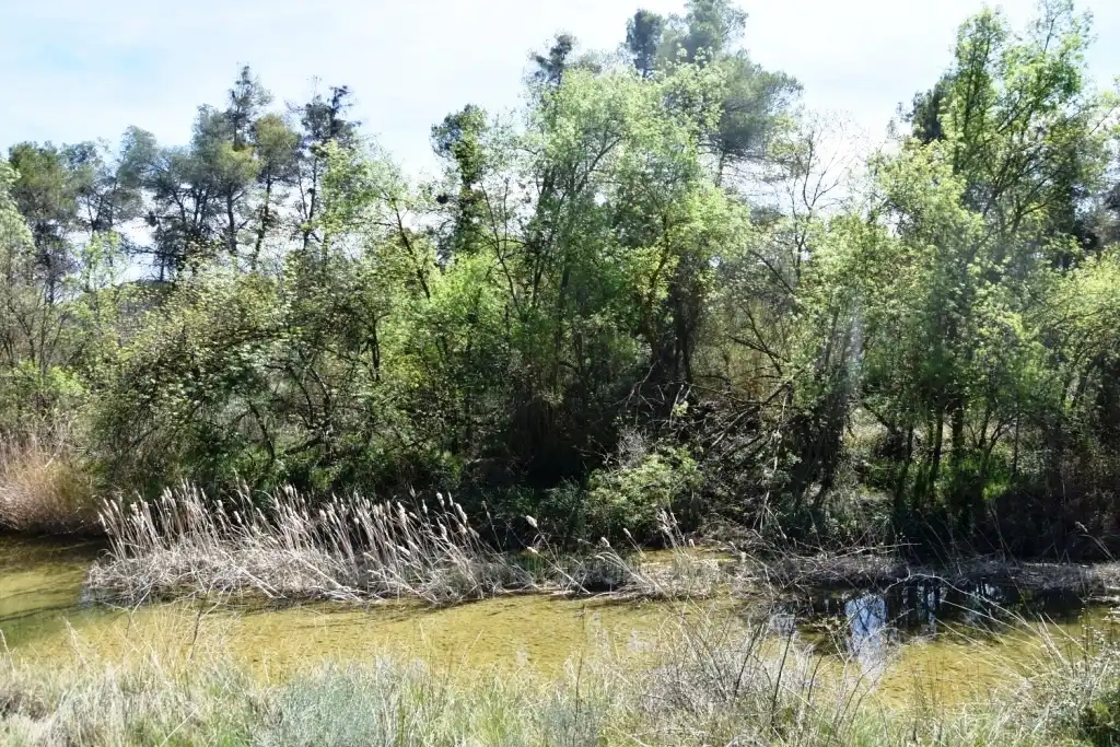 Terreni e lotti in vendita a Arens de Lledó, imagen 18