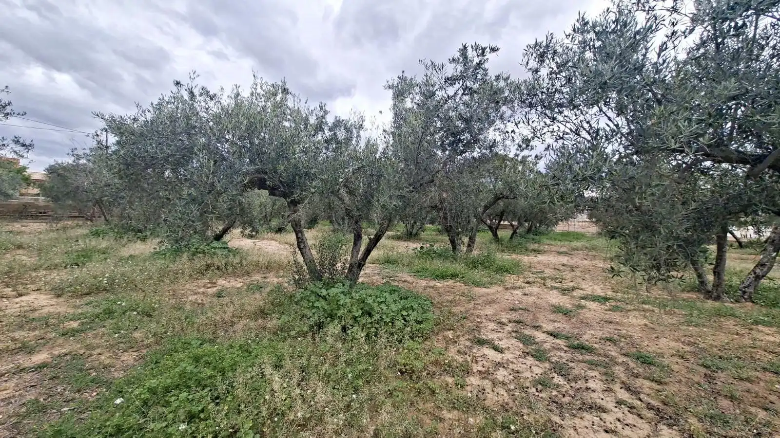 Wohnbaugrundstück zum Verkauf in CABO PALOS-RB ROLLET, imagen 12